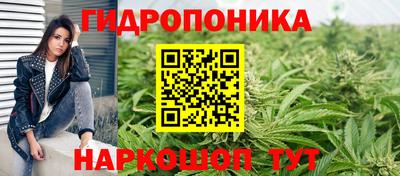 молекула духа Лесосибирск