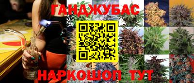 молекула духа Лесосибирск